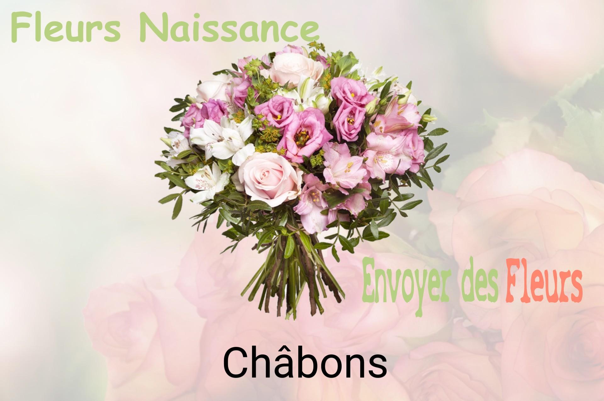Bouquet de fleurs de naissance livré à Châbons